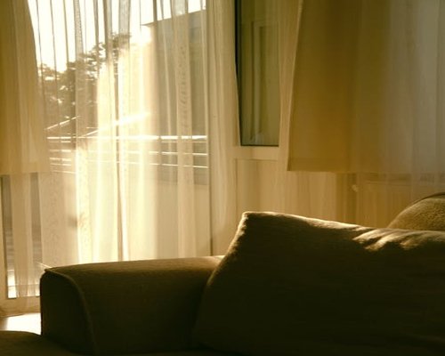 Soft natural light filtering through sheer curtains into a reading corner